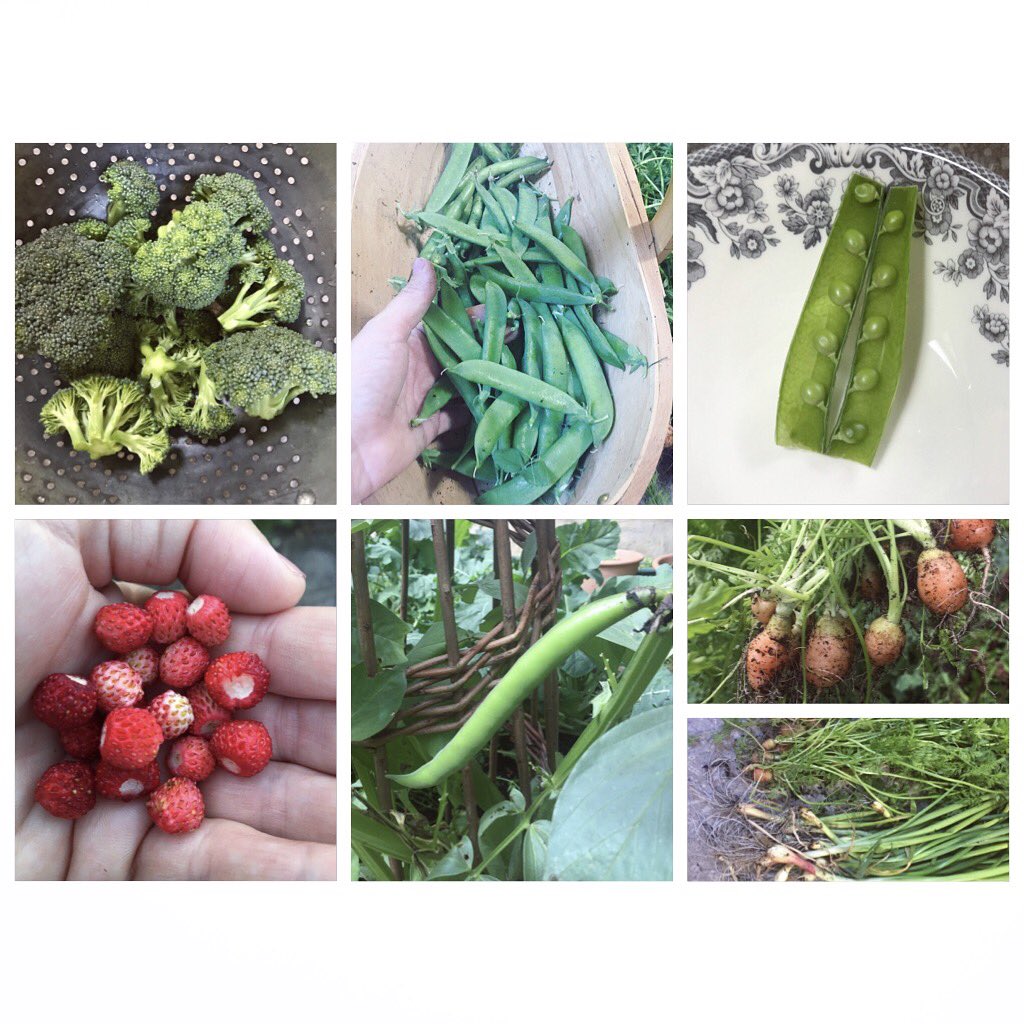 All from our Veg Patch ????????‍???? https://t.co/f90uGfFUdG