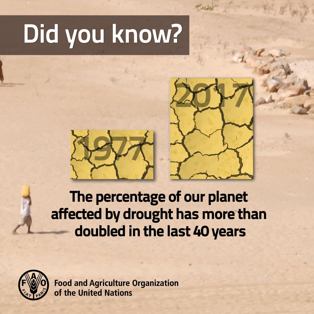 NZ_Soil_Soc photo