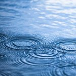 Heavy rains kill 14 in Niger, 11 in Ivory Coast Heavy rains kill 14 in Niger, 11 in Ivory Coast
