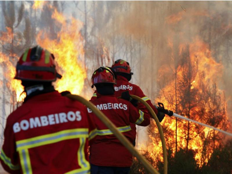 Meu Twitter