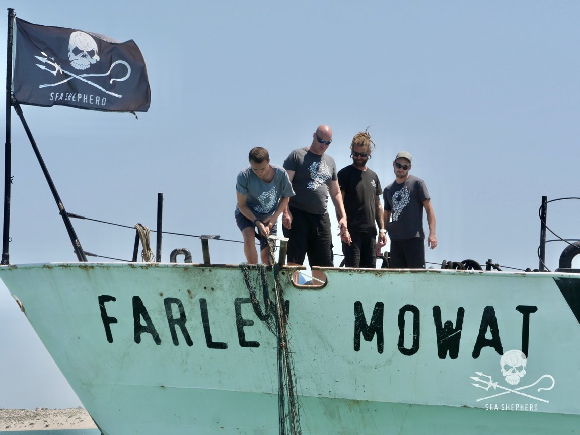 Protect our oceans by supporting ocean organizations including @seashepherdsscs:  