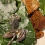 California woman finds dead frog in restaurant salad California woman finds dead frog in restaurant salad