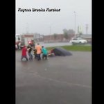 Watch: Good Samaritans rescue woman trapped in car during flash flood Watch: Good Samaritans rescue woman trapped in car during flash flood