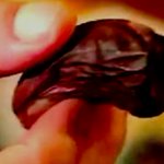 Canadian Hotel Wants To Get Its Hands On Whoever Stole Human Toe Canadian Hotel Wants To Get Its Hands On Whoever Stole Human Toe