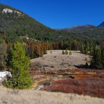 Man found alive after 4 days missing in Montana wilderness Man found alive after 4 days missing in Montana wilderness