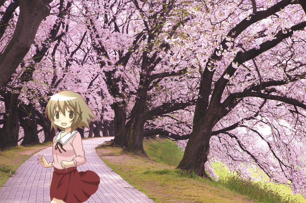 お花見#ひだまりスケッチ お花見#ひだまりスケッチ