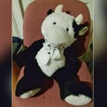Stuffed cow saves 2-year-old after he tumbles out window Stuffed cow saves 2-year-old after he tumbles out window