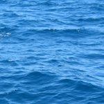 Tourist boat sinks in Colombia; 3 dead, 30 missing Tourist boat sinks in Colombia; 3 dead, 30 missing