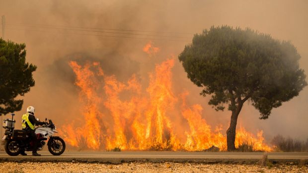 Forest fire in Spain threatens key nature reserve