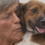 Animal rescue group sends 'dumped dog' from Puerto Rico to new family in Alaska Animal rescue group sends 'dumped dog' from Puerto Rico to new family in Alaska