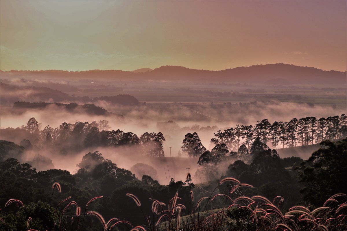 A bit of that beautiful morning mist.. https://t.co/UpaiQQTdMU https://t.co/0x5ggqMDS1