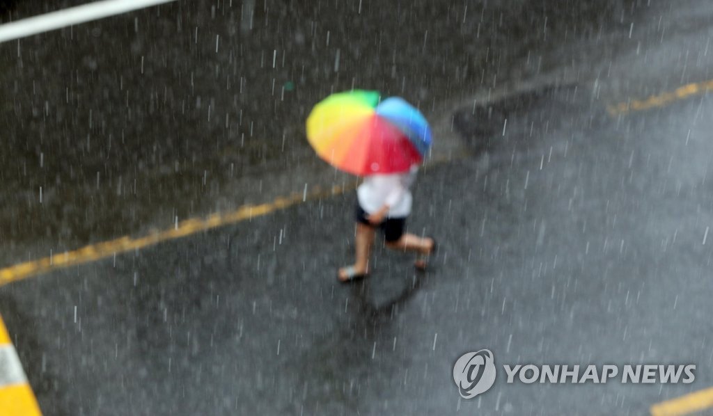 장마 비가 우산 내내 오늘부터 태풍 오고 wikitree