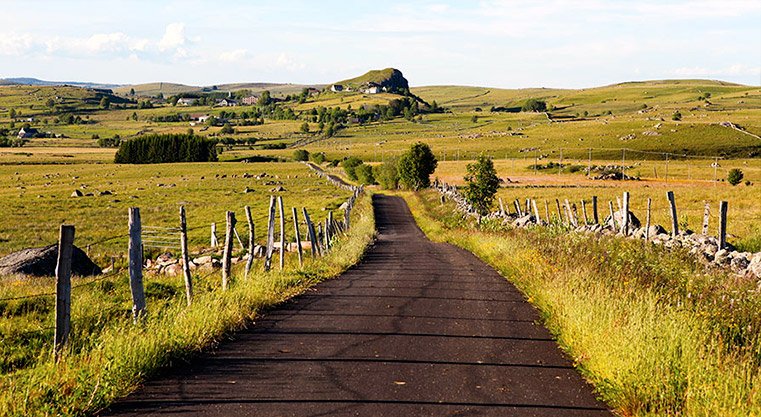 #Aubrac