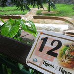 Puerto Rico economic crisis hits island's only zoo Puerto Rico economic crisis hits island's only zoo