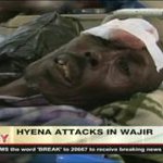 Wajir wildlife victims to get Sh121m - VIDEO