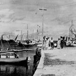 Documentary says Amelia Earhart may have survived crash landing in the Marshall Islands Documentary says Amelia Earhart may have survived crash landing in the Marshall Islands