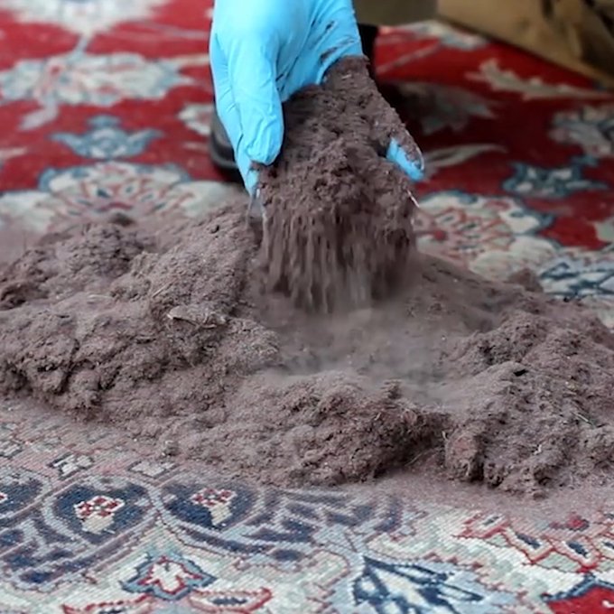 There’s a terrifying amount of dust hidden in your carpets https://t.co/qg2qUxMfrP
