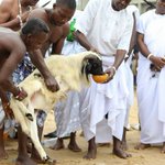 Togo purges its violent past with voodoo ceremonies Togo purges its violent past with voodoo ceremonies