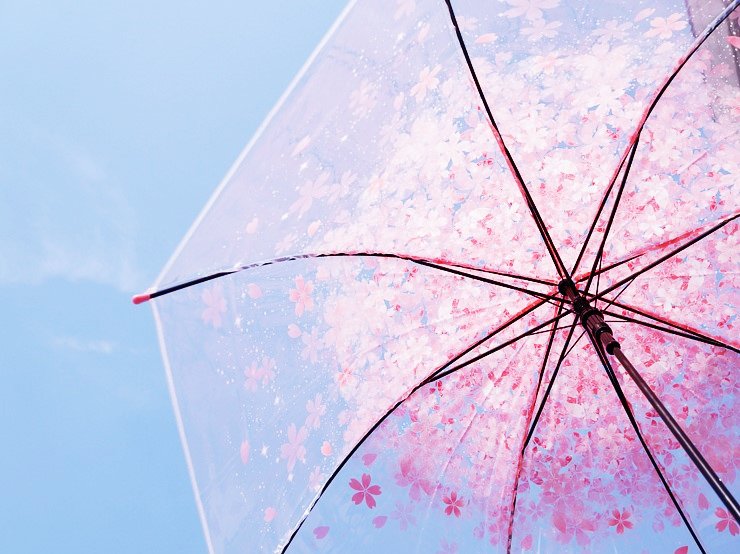 우산 비가 보조배터리 우비 에리디봉 건전지 티켓 bookpal_comics