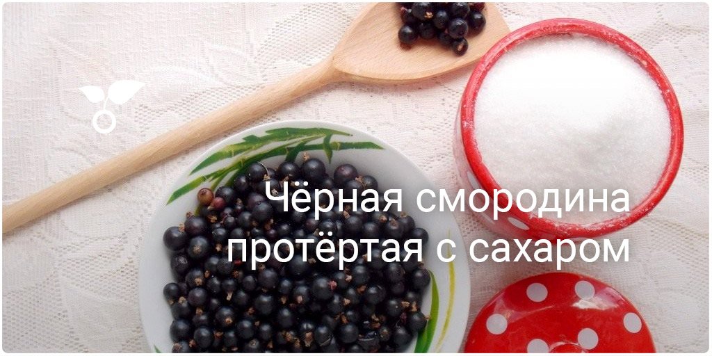 Как приготовить чёрную смородину на зиму