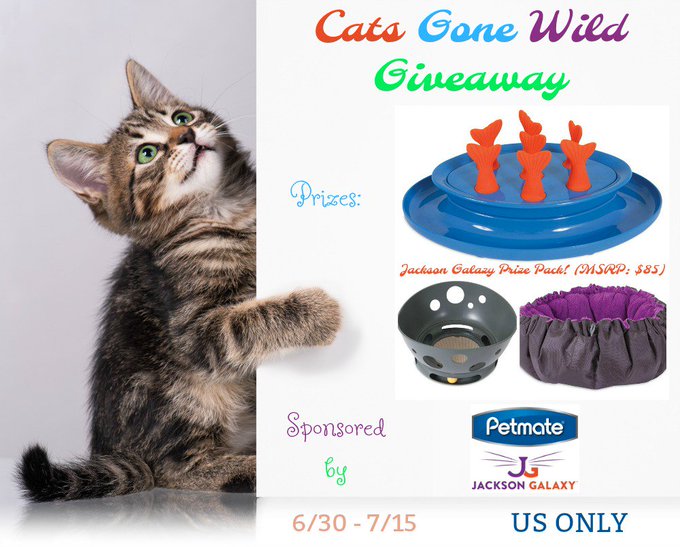 Cats Gone Wild Giveaway Cats Gone Wild Giveaway
