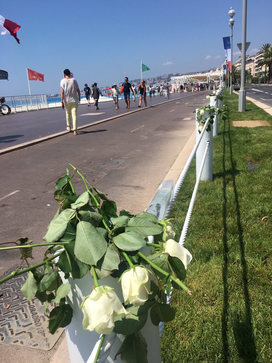 #promenadedesanglais