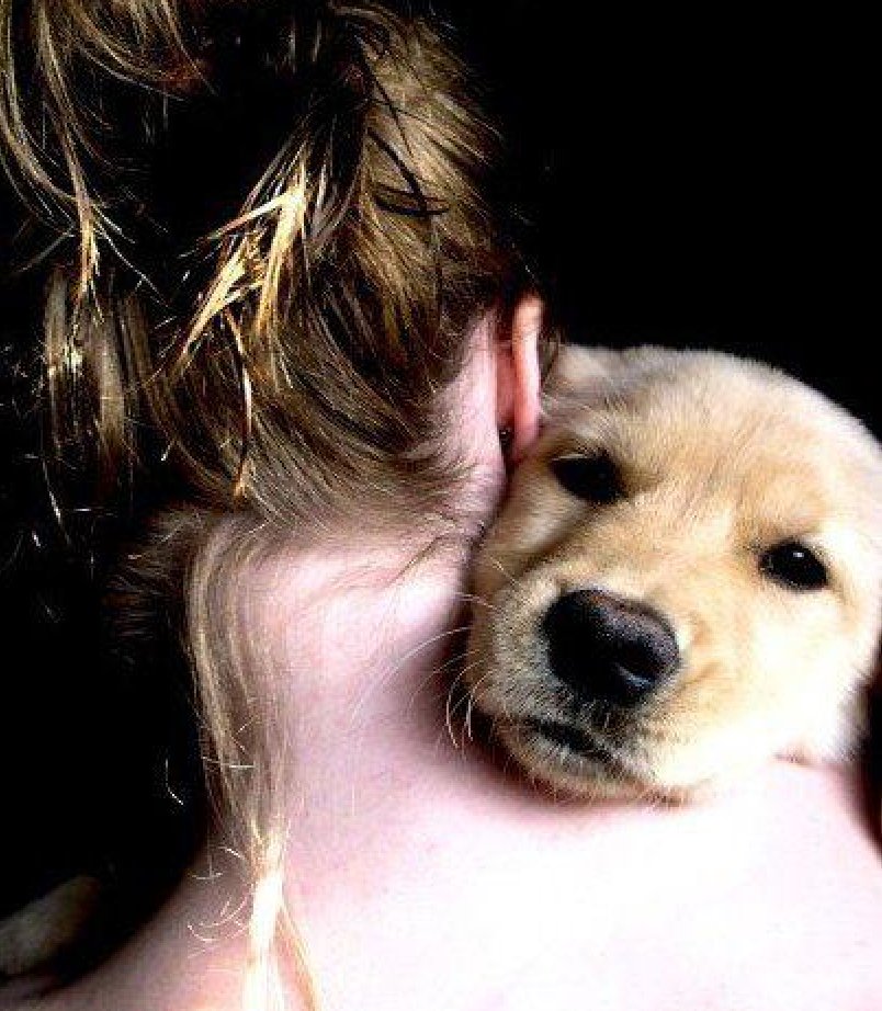 Give your dog a hug (and film it) — we need your footage! https://t.co/nJmpDdFzHX https://t.co/37me7RLvIw