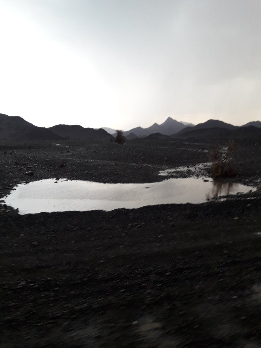 #تصويري