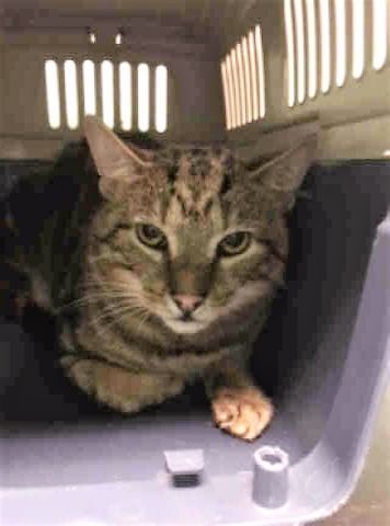 RT @URGENTPODR: JUST ADDED! SQUIGGLE - A1119956 
Follow me here for updates and status: https://t.co/DuulQci2N1 https://t.co/pLJQXZLeet