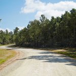 Woman, 55, reported missing at Sam Houston National Forest Park Woman, 55, reported missing at Sam Houston National Forest Park