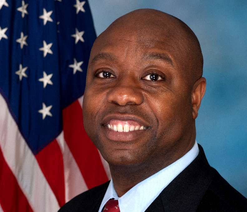 senator tim scott senator tim scott