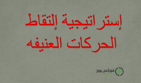 الرابط التالي
