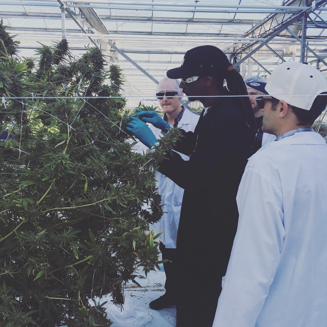 wats yo prescription ? @LeafsBySnoop https://t.co/hGBIAi5MQo