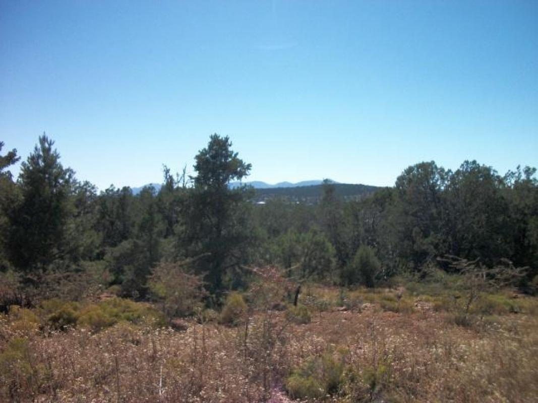 Payson