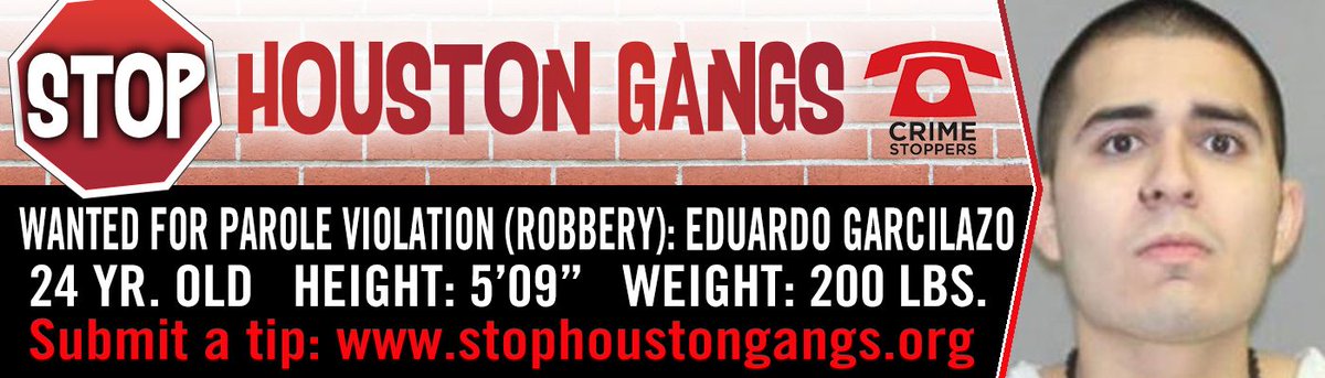 #hounews