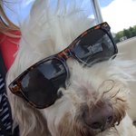 RT @KatePendry: Sunday outing on Lake Windermere @boatsforhire https://t.co/ajffetYHLB