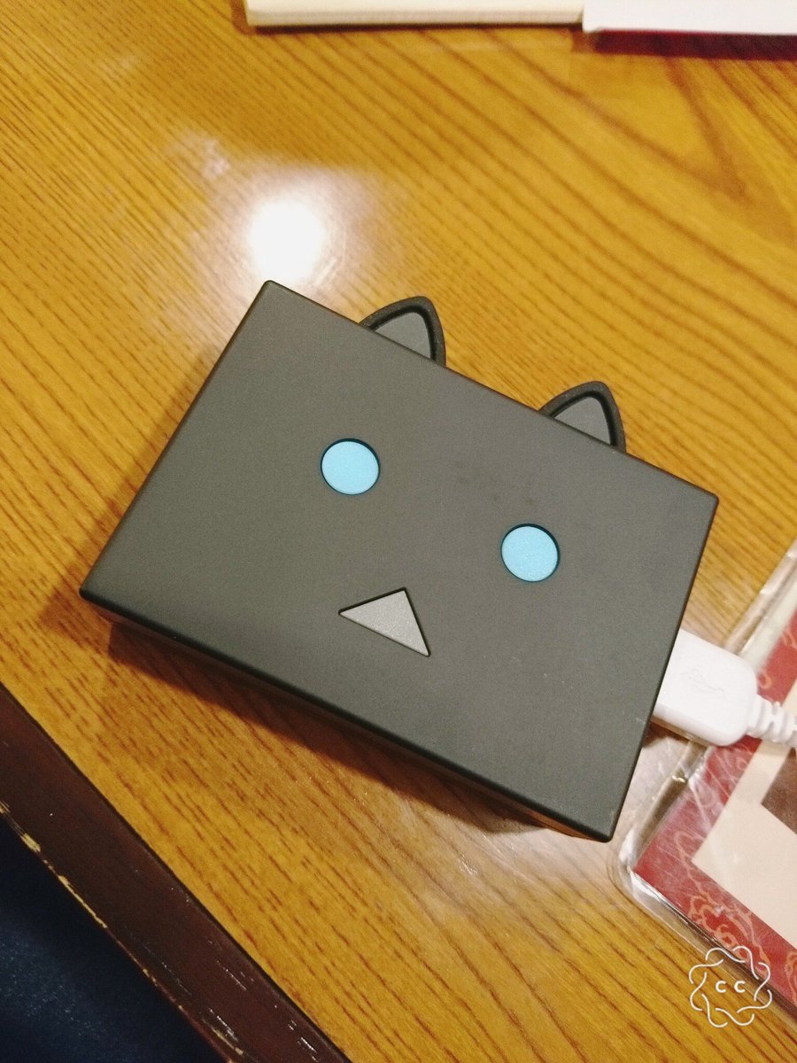 にゃんぼーが届いた(* ॑꒳ ॑* )⋆* にゃんぼーが届いた(* ॑꒳ ॑* )⋆*