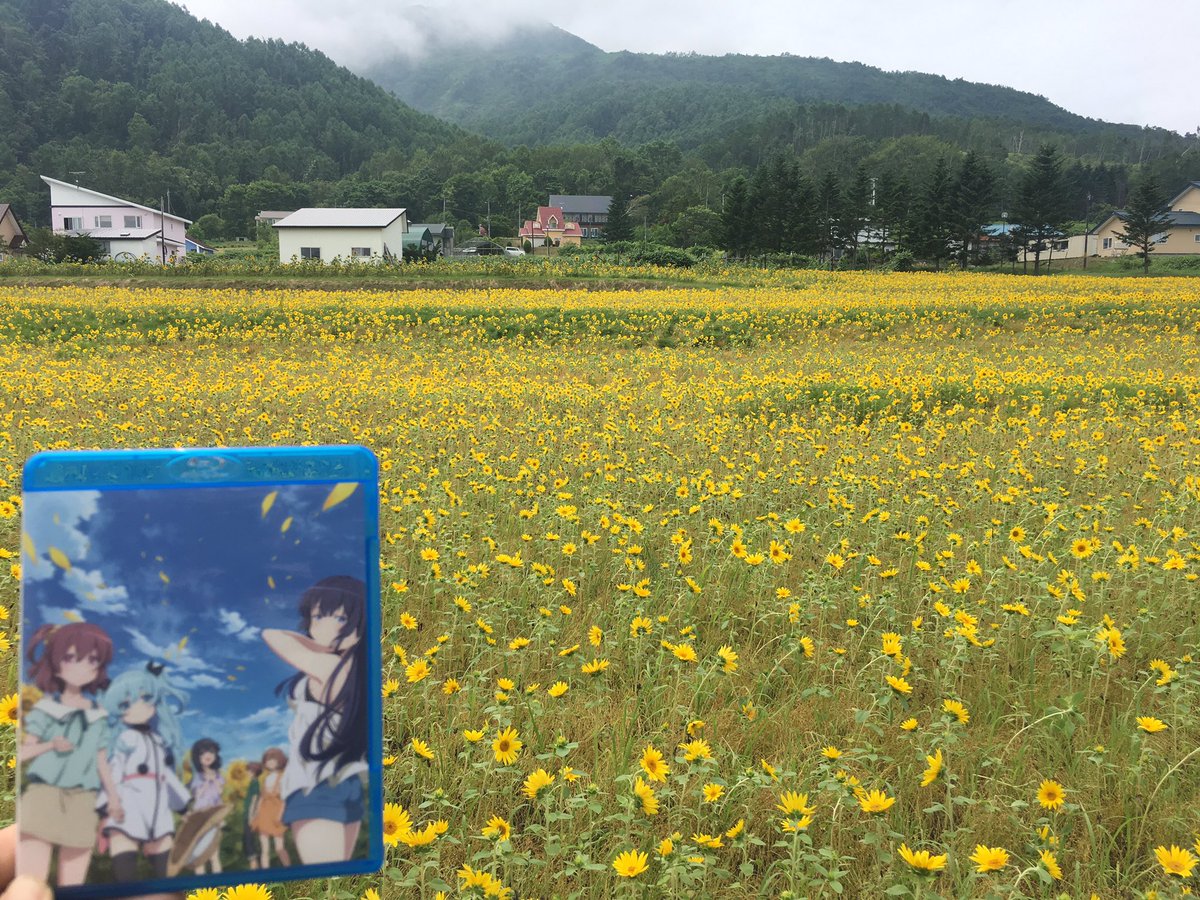 『天体のメソッド』のひまわり畑が満開です!!なお、明後日はひまわり畑🌻背景のBD最終巻が2年前に発売された日です。リアル 『天体のメソッド』のひまわり畑が満開です!!なお、明後日はひまわり畑🌻背景のBD最終巻が2年前に発売された日です。リアル