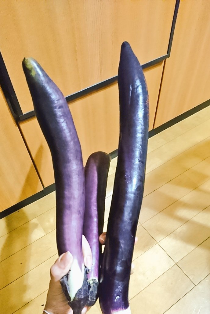 三刀流!!鬼斬!!!!(このあと落としました) 三刀流!!鬼斬!!!!(このあと落としました)