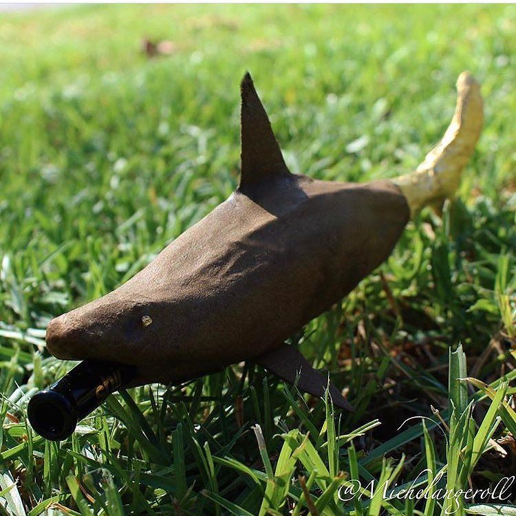 Shark blunt. https://t.co/ajgEeFIsW3 https://t.co/hG0mKRsdJA