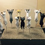 「バンザイ猫」と「仔猫」。大人げない大人と戸惑うコドモ…(笑) #wf2017s https://t.co/qvkoEZI5rH