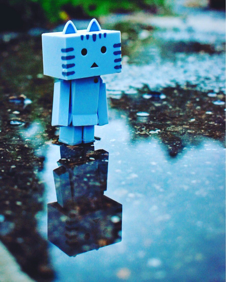 『雨。』#ファインダー越しの私の世界#写真撮ってる人と繋がりたい#coregraghy #にゃんぼー 『雨。』#ファインダー越しの私の世界#写真撮ってる人と繋がりたい#coregraghy #にゃんぼー