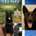 Memorial planned for Cowlitz County K9 who passed away after fighting illness Memorial planned for Cowlitz County K9 who passed away after fighting illness