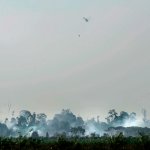 Indonesian forest fires: 5 provinces declare state of emergency Indonesian forest fires: 5 provinces declare state of emergency