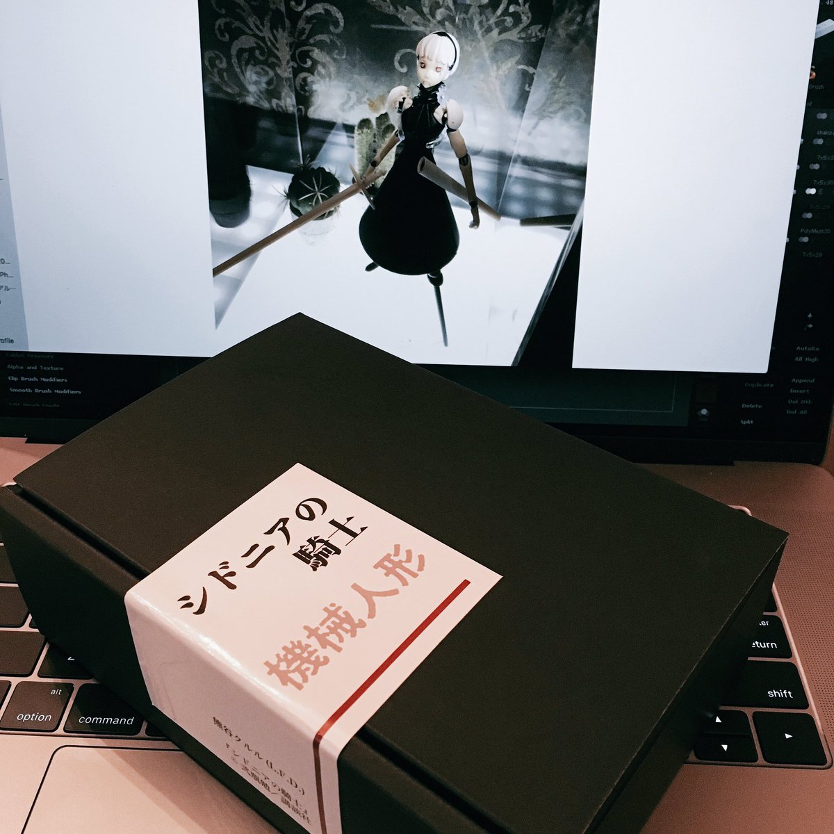 WFにて販売のシドニア機械人形ガレージキット、パッケージも完成! #wf2017s #シドニアの騎士 WFにて販売のシドニア機械人形ガレージキット、パッケージも完成! #wf2017s #シドニアの騎士