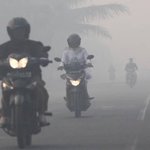 5 Indonesian provinces on emergency alert for forest fires amid dry season 5 Indonesian provinces on emergency alert for forest fires amid dry season