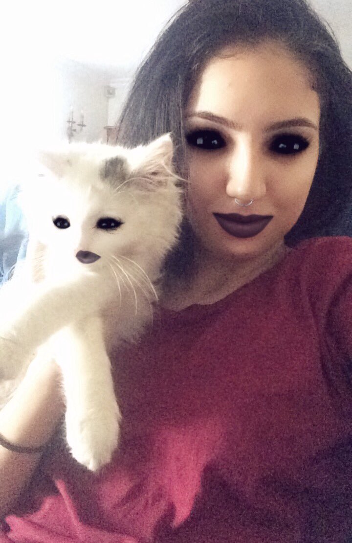 #InternationalCatDay