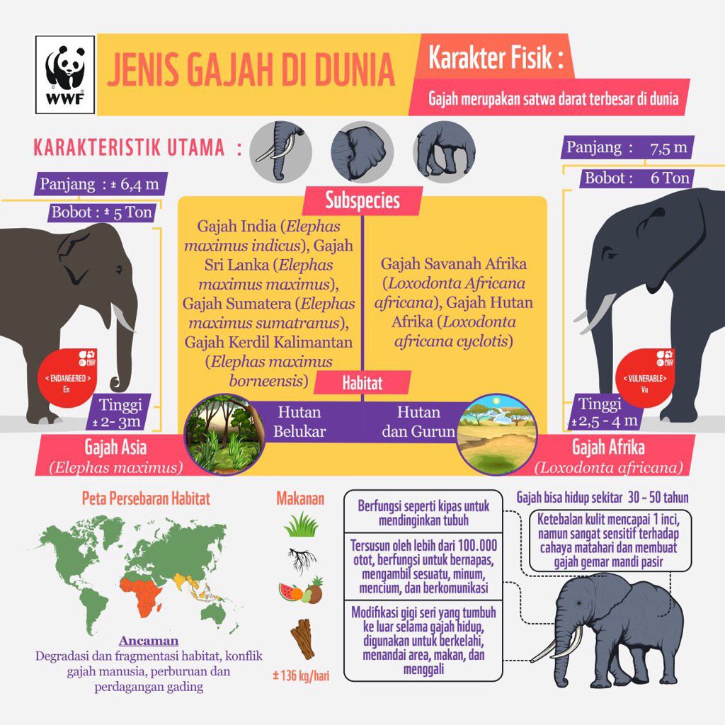 #WorldElephantDay