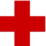 Red Cross volunteers killed in Central African Republic