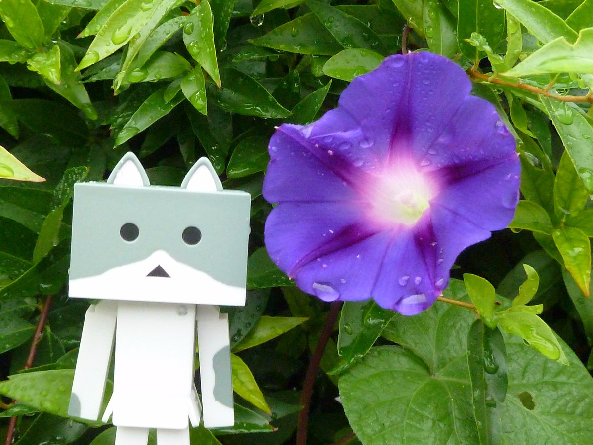 8月11日は山の日⛰️お天気はあいにくの空模様☁お出かけの際は雨具があると安心です🌂良い休日お過ごしください🍀Have 8月11日は山の日⛰️お天気はあいにくの空模様☁お出かけの際は雨具があると安心です🌂良い休日お過ごしください🍀Have